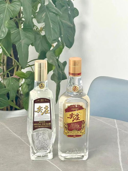百年浓香品质尖庄,见证中国酿酒史的发展与传承